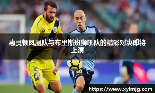 惠灵顿凤凰队与布里斯班狮吼队的精彩对决即将上演